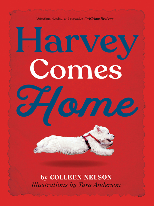 Cover image for Harvey Comes Home